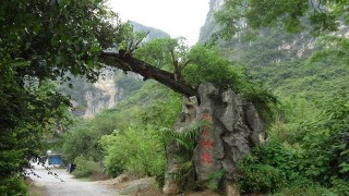 旅遊景區大全之廣東洞天仙境