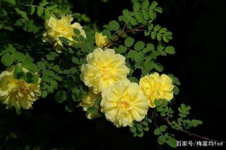 12月中旬，暖意入心，複合萌生，回頭原諒的星座：真情相見