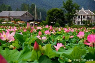 郝堂，紮根鄉村文化，絕不做千篇一律的旅遊景點！