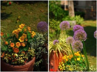 告別城市的喧囂，「隱」於後花園