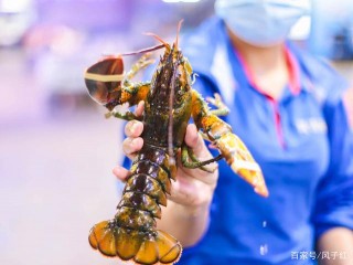細分三亞3大特色美食，必吃海鮮、火鍋、海南菜，附海鮮挑選技巧