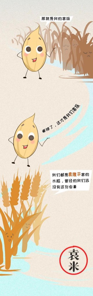 這個可愛的小東西，犧牲了婚姻與愛情，只為讓人不再挨餓