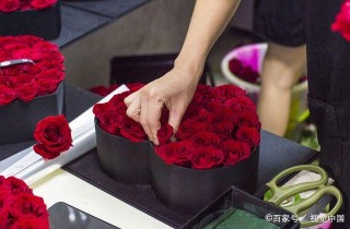 朋友的經曆告訴我們，長期堅持才能出彩，職場成功沒有秘訣