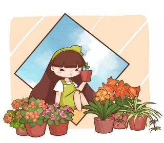 綠蘿茶花冬天熬不過，提前做好準備，全能活！