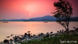 10月上旬，尋尋覓覓，開花結果，三星座讓愛地老天荒，天長地久