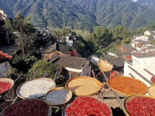 秋曬，曬美食，曬豐收