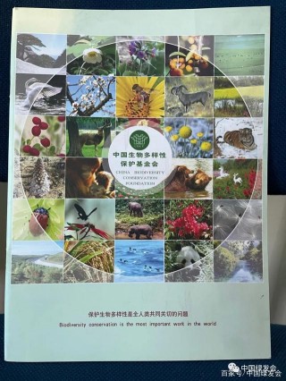 為生物多樣性大數據做貢獻，綠會歷史研究資料將上網供開放獲取
