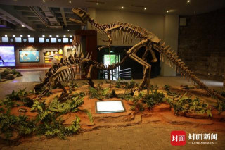 川渝再聯袂：古生物學家建了個實驗室 研究兩地恐龍都有啥不同
