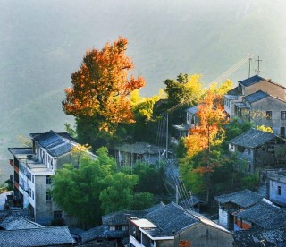 浙江最美紅葉古道地圖，反正我已經醉了！
