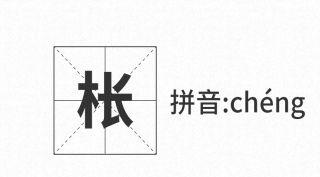 爸媽無意間給我取的名字，竟預言了我的今生所好