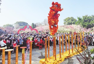 「此心安處是吾鄉」鄉土文化溫潤鄉村“精氣神”