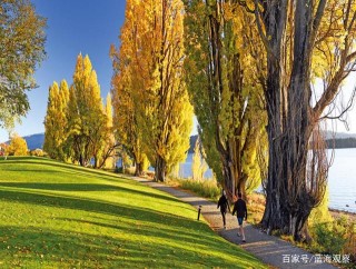 旅遊氣泡 為業界帶來希望