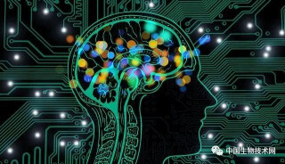 生命科學也講究“算力”？“生物碼農”革新工具，合成生物學有望“點糖成金”