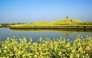 CNT暢遊鄉村｜臨沂：鄉村旅遊新貌
