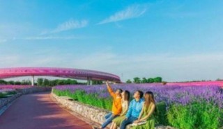 來宿遷旅遊，這些景點必須要去，抓住假期的小尾巴快帶上家人來吧