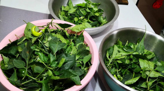 這菜渾身是寶，很多人只吃果實，其實“葉子”才是寶，炒肉特香，不懂吃真可惜