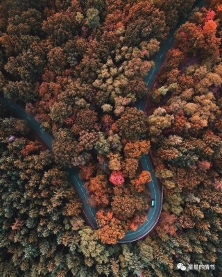 星星の情書：12星座一周新運勢（12.04—12.10），寫給水星逆行。