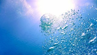 鯨魚：地球上氣候自我調節的重要一環