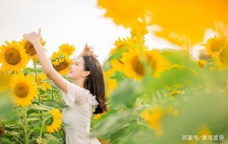 8月中旬，三個星座好運來，最後一個星座鴻運當頭，坐等好事發生