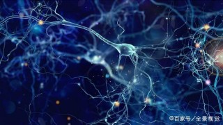 《The Biology of Belief》信念生物學：共建同心協力的世界