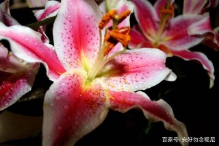 2021年，愛情洶湧呈現，桃花一波一波到來的星座！
