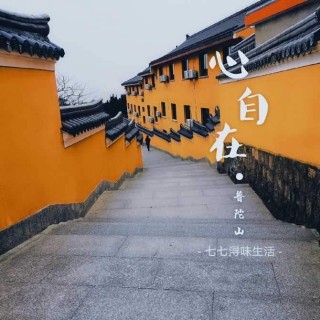 2020最新舟山普陀山禮佛攻略和注意事項