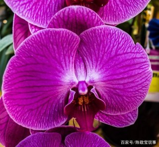 11月，前緣蘇醒，愛情開花，複合之日即將到來，追回舊緣的四星座