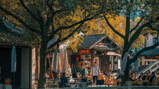 走在惠山古鎮下河塘，欣賞江南園林風光，感受悠閑時光