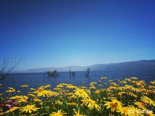 11月去雲南旅遊_雲南旅遊景點介紹及花費_金花輕松遊