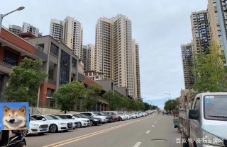資陽槐樹東路汽車停車位重新被規劃，以後這樣停車……