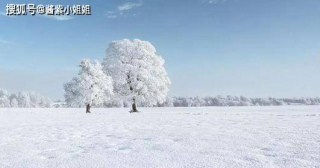 人際關系潛規則，總是去爭對錯，說明自己太傻了