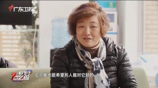 相伴十年的寵物狗被病痛折磨，老人淚目：不忍看