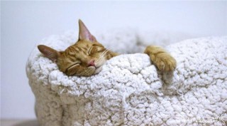 5月初，與愛同行和對方，是為愛堅守在3號星座的心髒