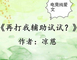 電競純愛文，強推《神級召喚師》《再打我輔助試試？》，書荒必備