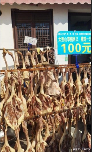 召稼樓古鎮，遊客們對美食的興趣更高於風景