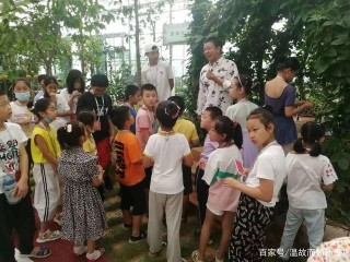 濰坊 聊城 日照 東營科學實驗室 農場 風景區 鄉村遊勞動策劃方案