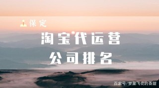 保定淘寶代運營公司排名