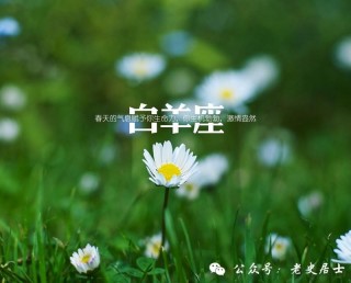十二星座男的這些舉動，說明他對你動心了！