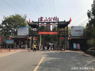 青山區唯一的景區 其景區定位並不統一 最值得遊玩的不是核心項目