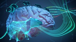 科學家以全新系統解碼動物行為 構建行為“字典”