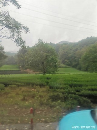 談談美食的地域性