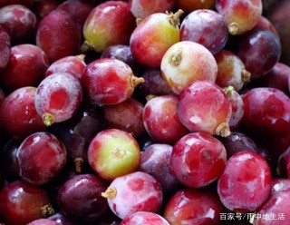女人別太節儉，再貴也要吃“它”，美白護膚，效果勝似“化妝品”
