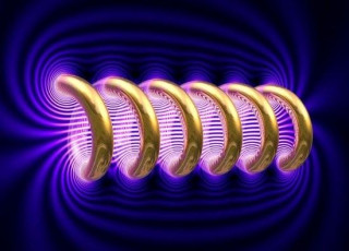 將人放進強磁場會出現什麼現象？科學家用青蛙實驗，獲得反重力蛙