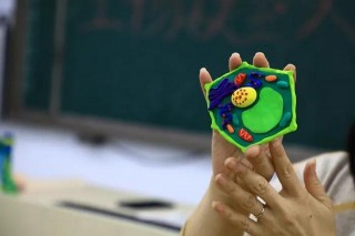 學好生物我有妙招——我校高一年級開展生物建模實踐課