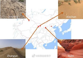 金獎！西安交大在合成生物學領域最高級別國際學術競賽中獲佳績