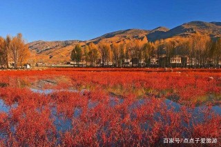 四川“世界級”公園走紅，仿佛置身外太空，號稱“百慕大”！