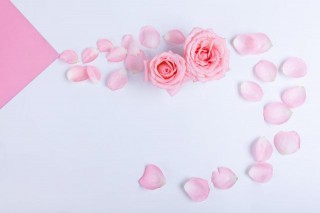 愛你的人，是想和你結婚的