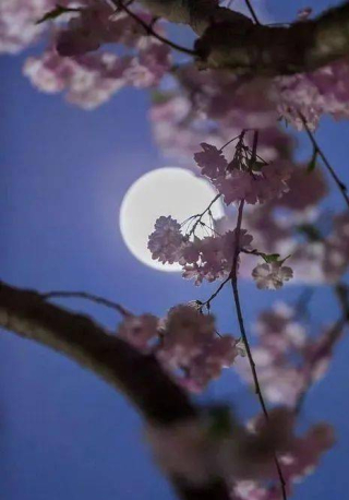 歷史上水平最高的十首詩詞，你都讀過嗎？_萬古愁_芙蓉_陳子昂