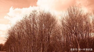15天後，微風正好，陽光不燥，3星座邂逅舊愛，執手荒度餘生