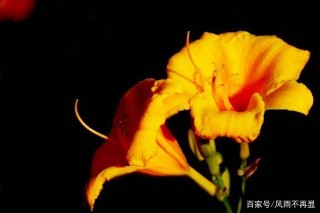 熬過臘月，3星座福財雙至，財神駕到，月老牽線，生活欣欣向榮！